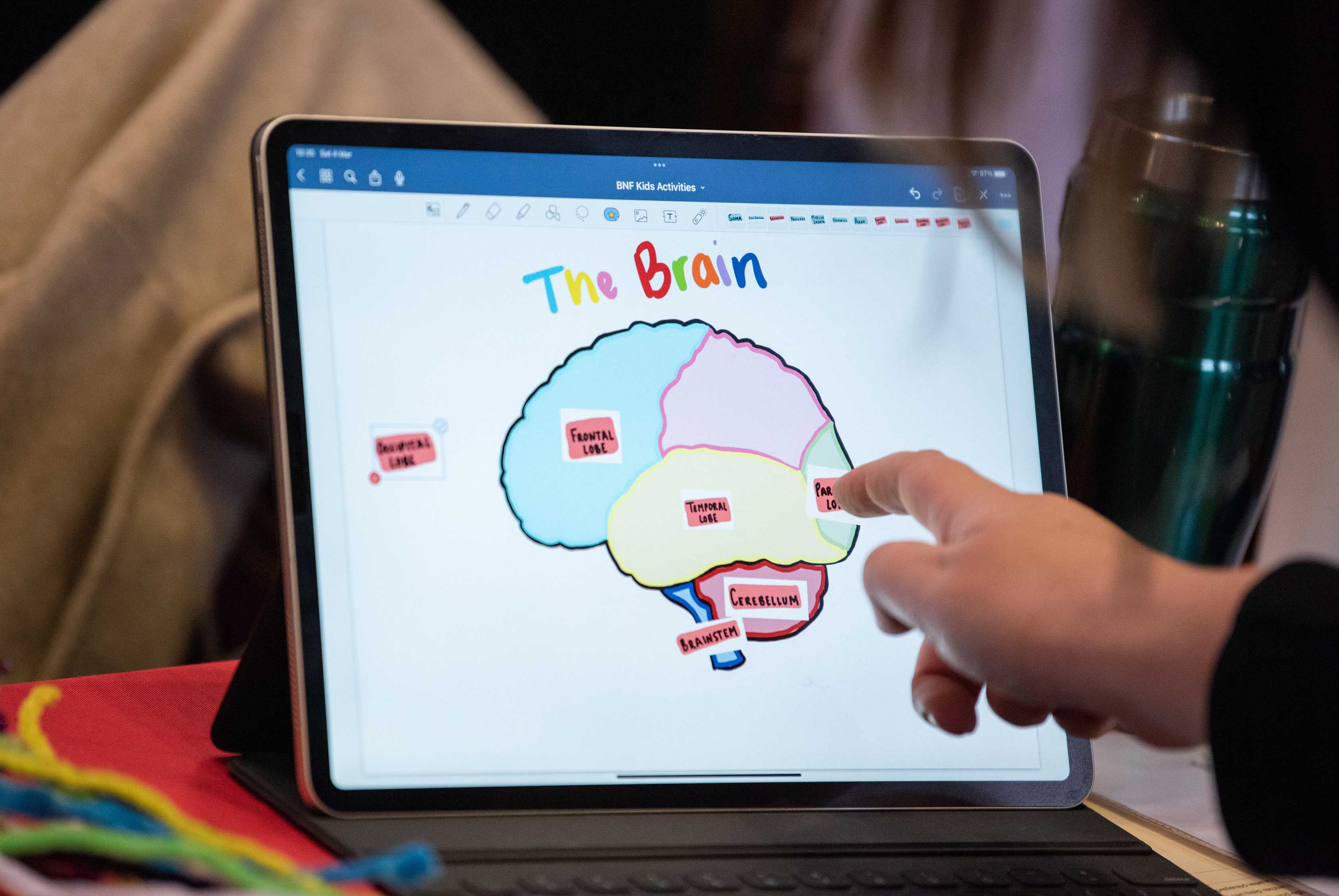 Drawing a brain on a tablet